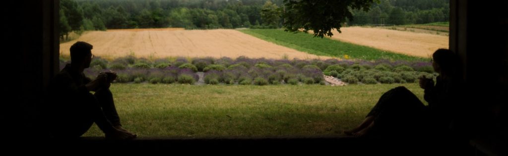 Dworzysk lawendowe pole